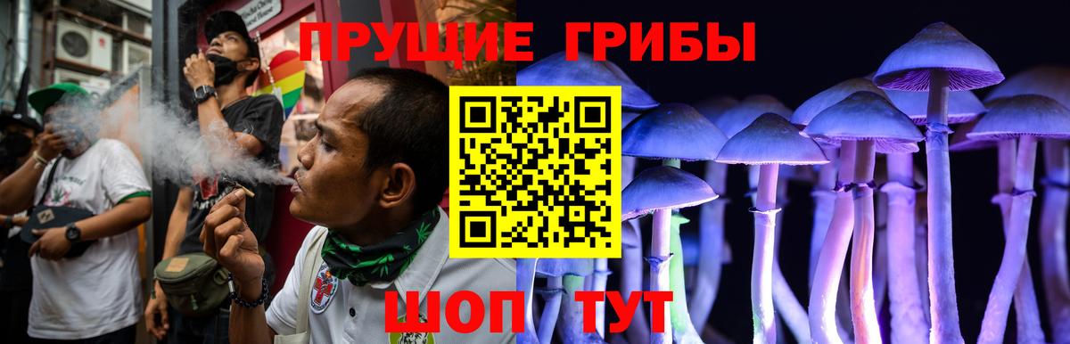 Шелехов  Псилоцибиновые грибы ЛСД  Вход с VPN 